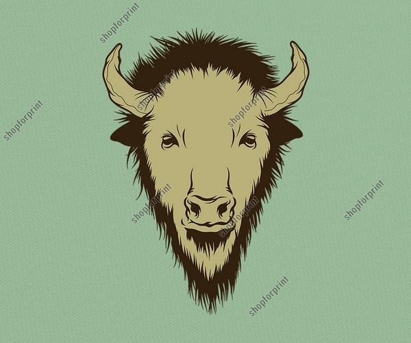 Buffalo Head
