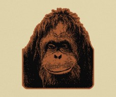 Orangutan Vector