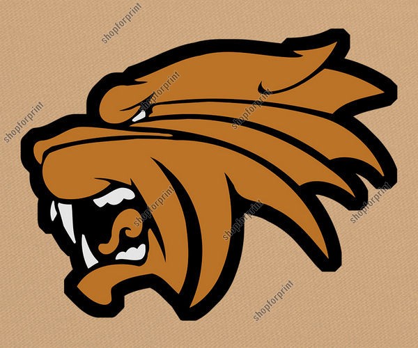 Download Tiger Face Vector Image
