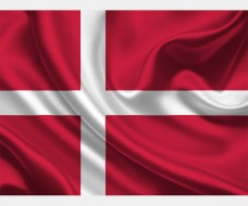 Danish Flag Vector