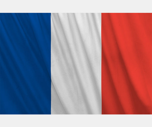 France National Flag Vector (Four Images)