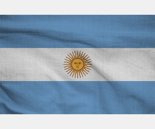 Argentina National Flag Vector