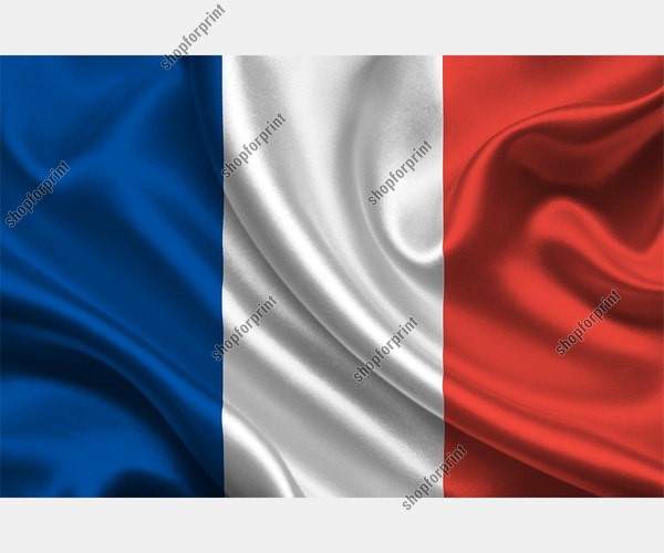 National Flag of France, Pack in Vector Formats (4 Several Images)