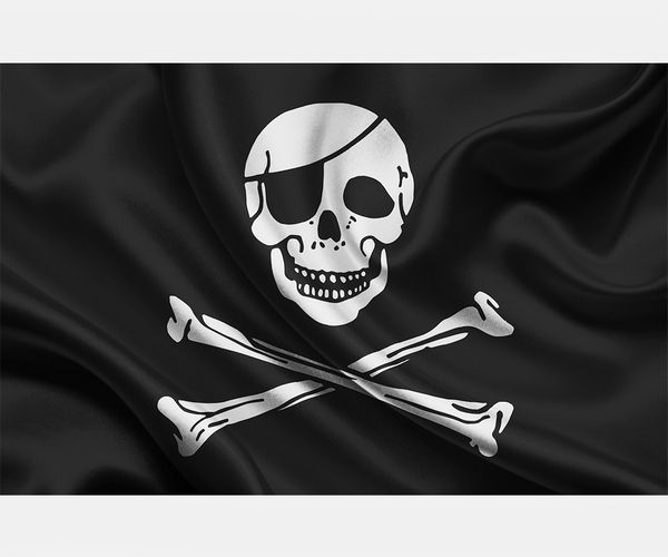 Pirate Flag Vector