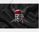 Pirates of the Caribbean Flag Vector