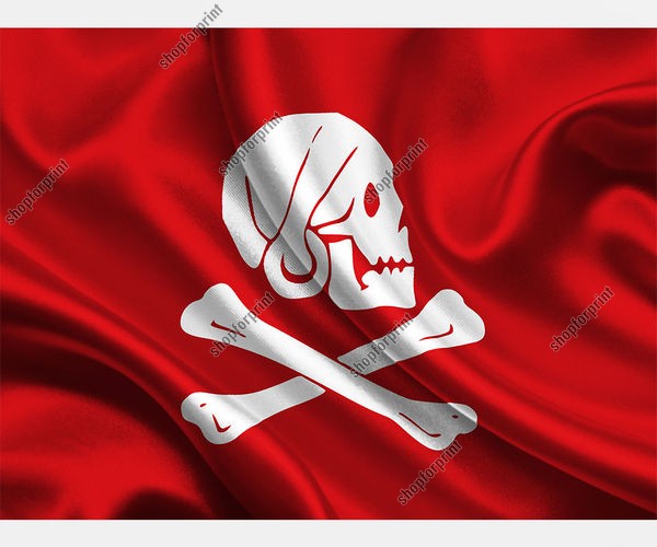 Red Pirate Flag Vector