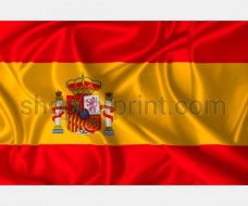 Spainish flag vector