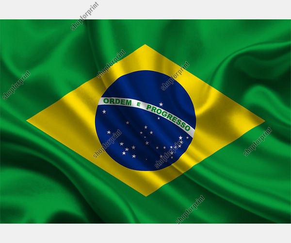 Download The National Flag of Brazil for Design