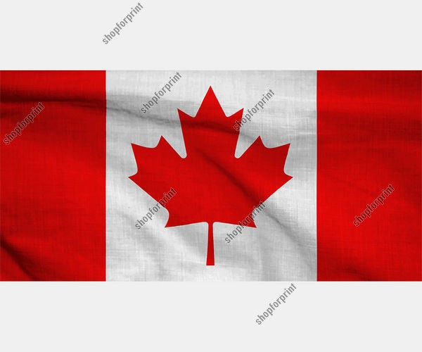 Download Waving Canadian Flag Vector for Design