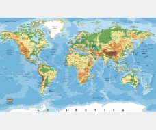 World Map Vector Image