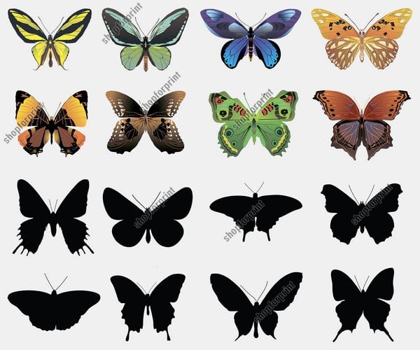 16 Butterfly SVG Free Vector formats